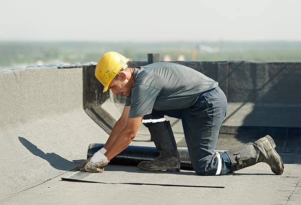 Best Energy-efficient Insulation  in Ottawa, IL